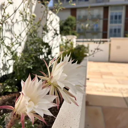 شقة فندقية Siesta 4*