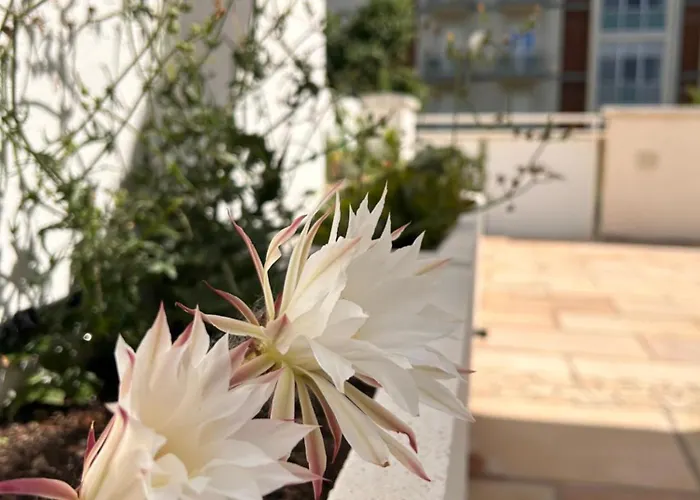 Aparthotel Siesta 4*