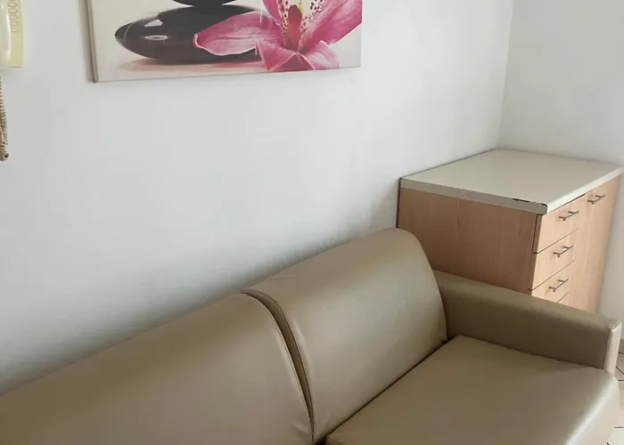 Siesta 4*