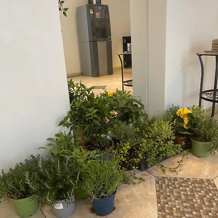 Siesta Apartmanhotel Rimini