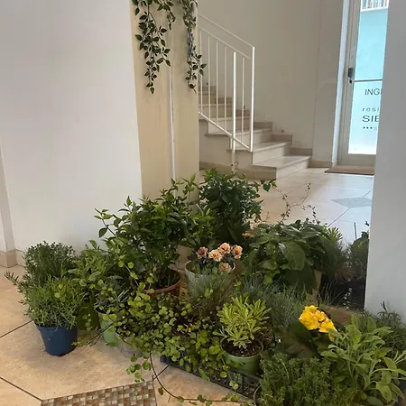 Siesta Apartmanhotel 3*