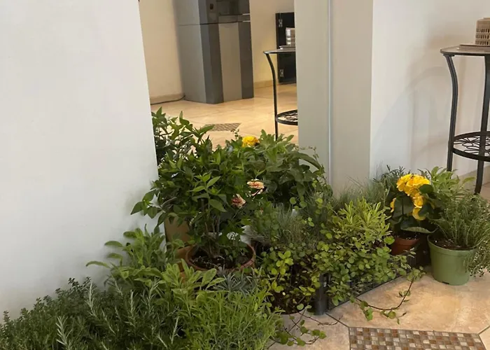 赛斯塔公寓式酒店 公寓式酒店 里米尼