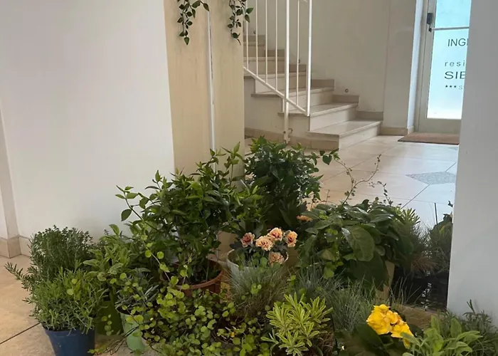 Siesta Aparthotel 4*