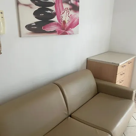 Siesta 4*